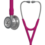 6158, Standard-Finish Chestpiece, Raspberry Tube, Stainless Stem