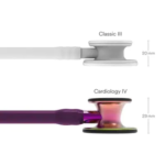 Plum Tube, Violet Stem and Black